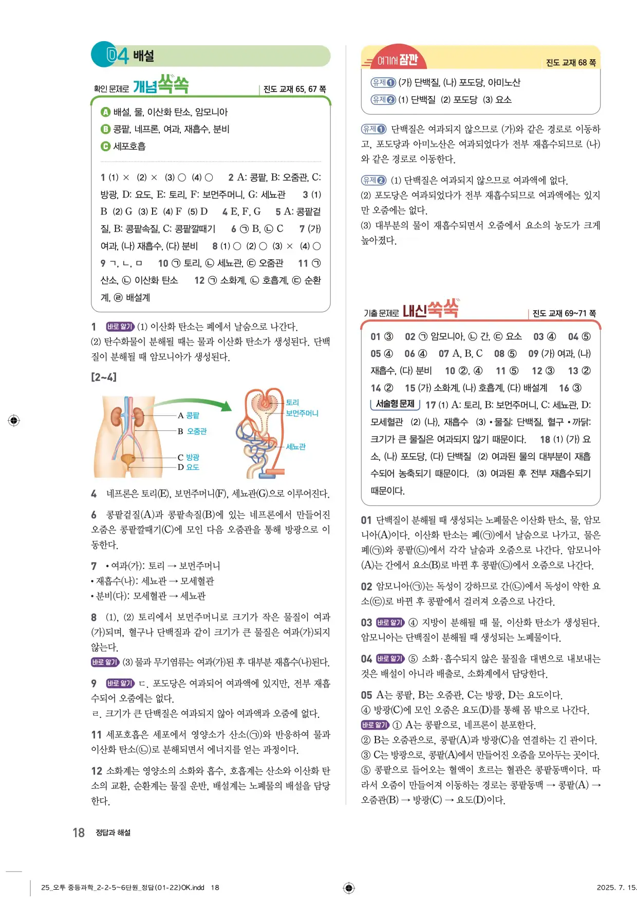 22개정오투과학2-2답지 18페이지