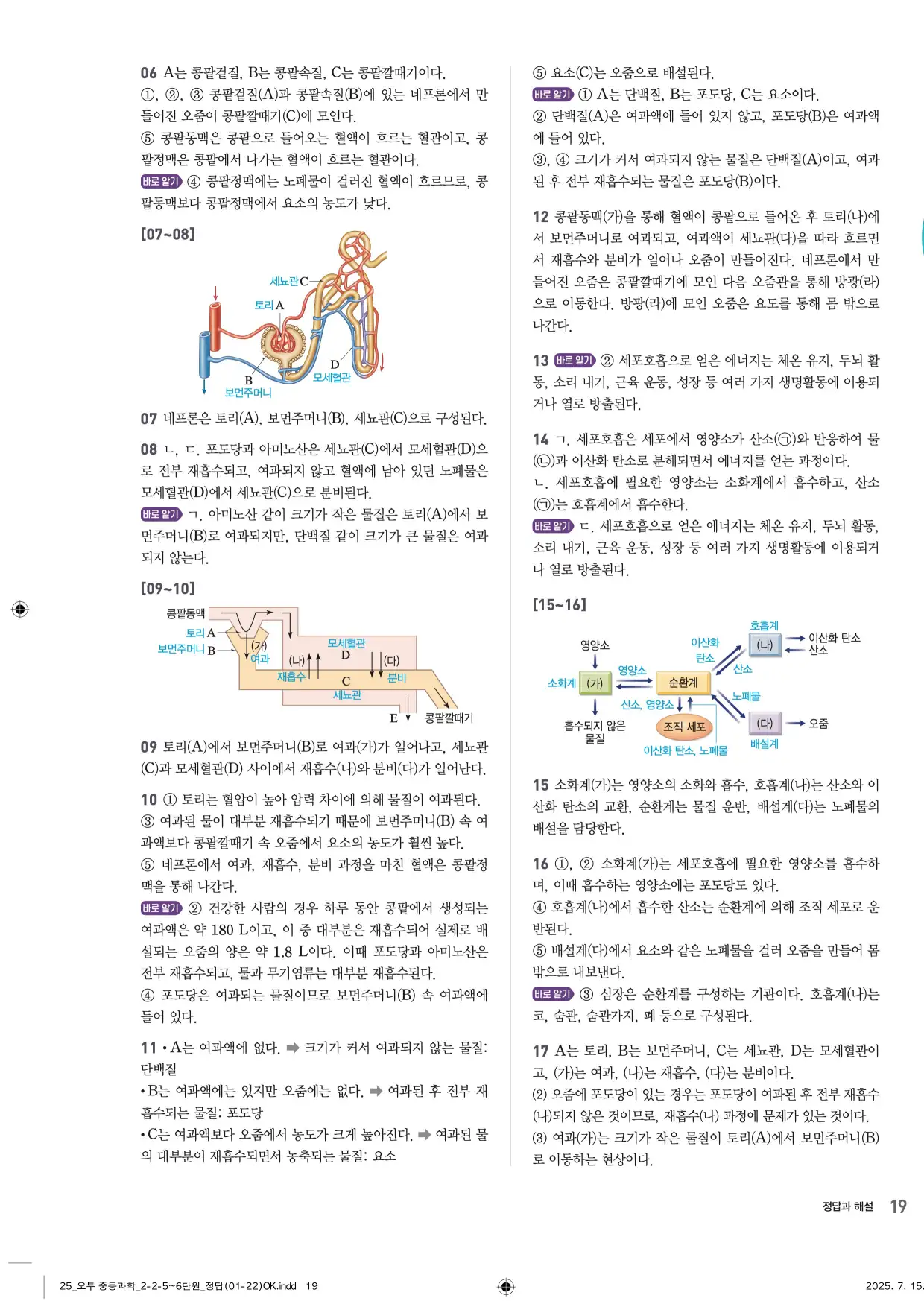 22개정오투과학2-2답지 19페이지