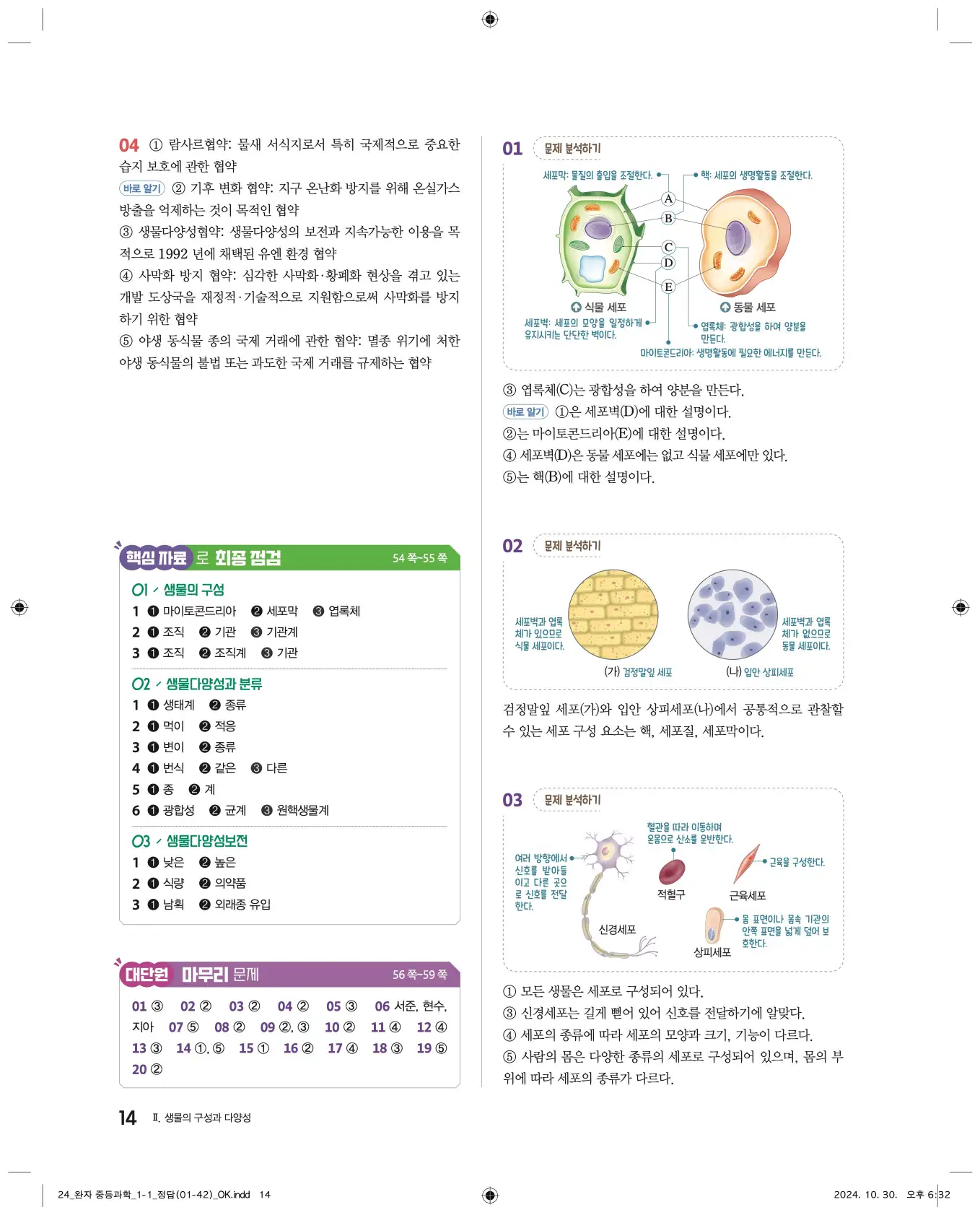 22개정완자중등과학1답지 14페이지