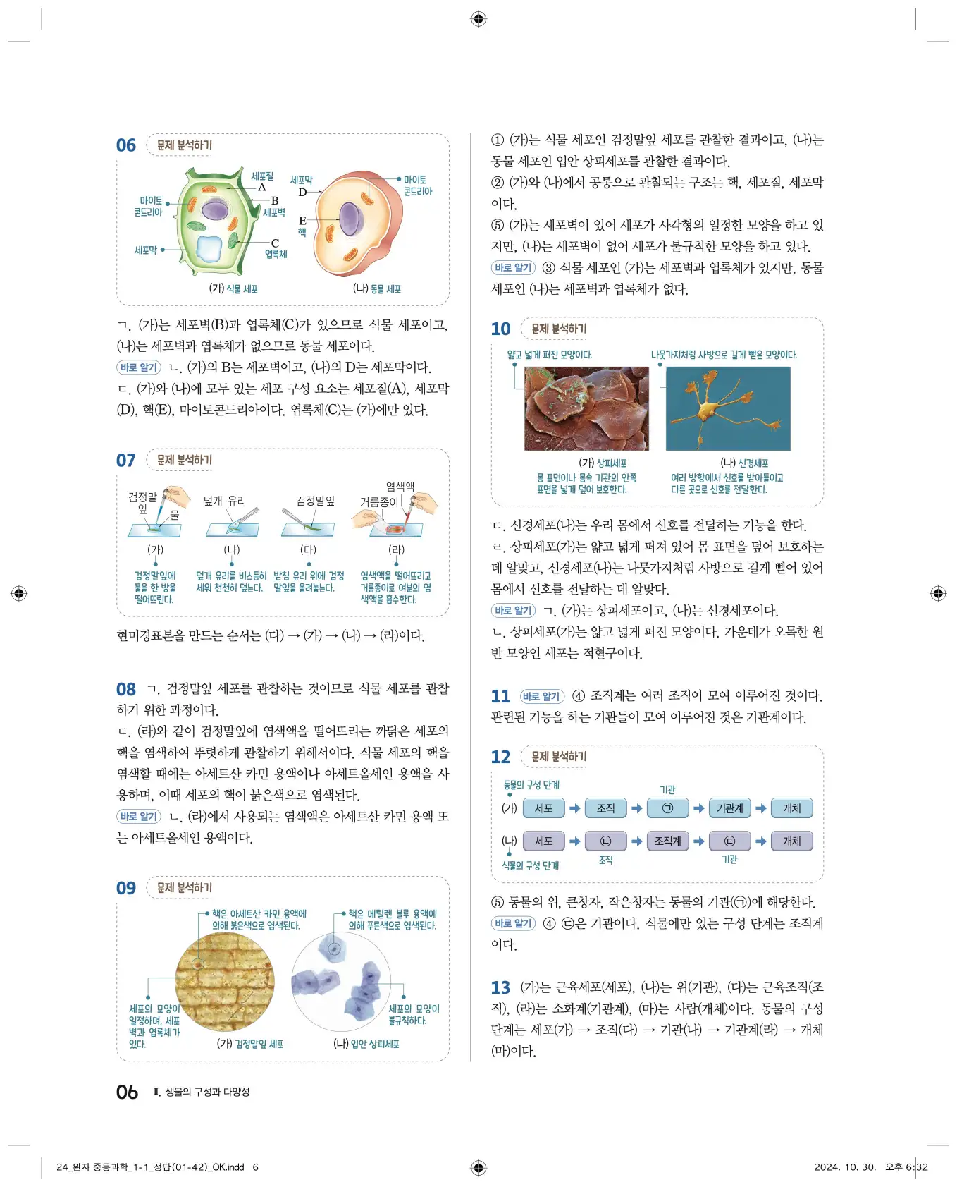 22개정완자중등과학1답지 6페이지