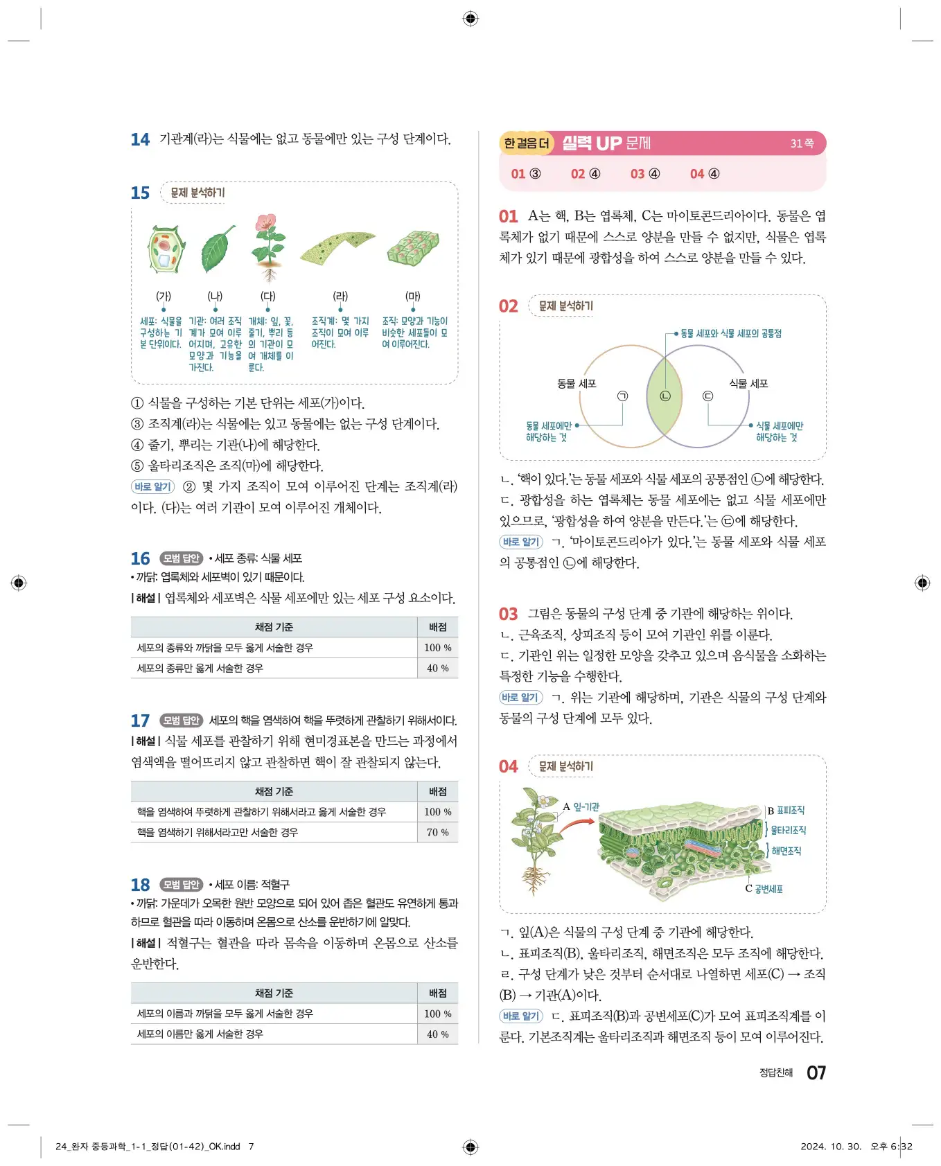 22개정완자중등과학1답지 7페이지