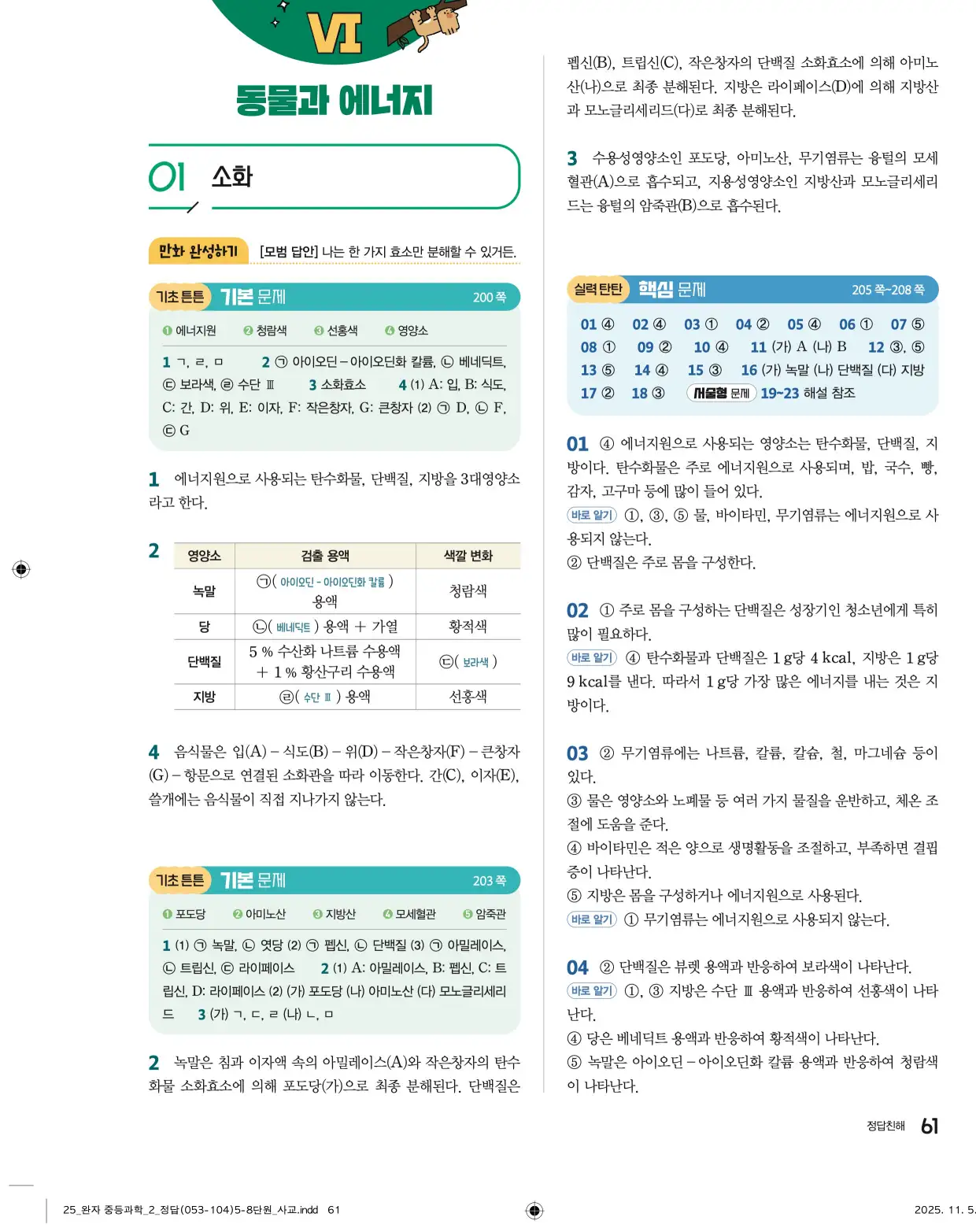 22개정완자중등과학2답지 61페이지