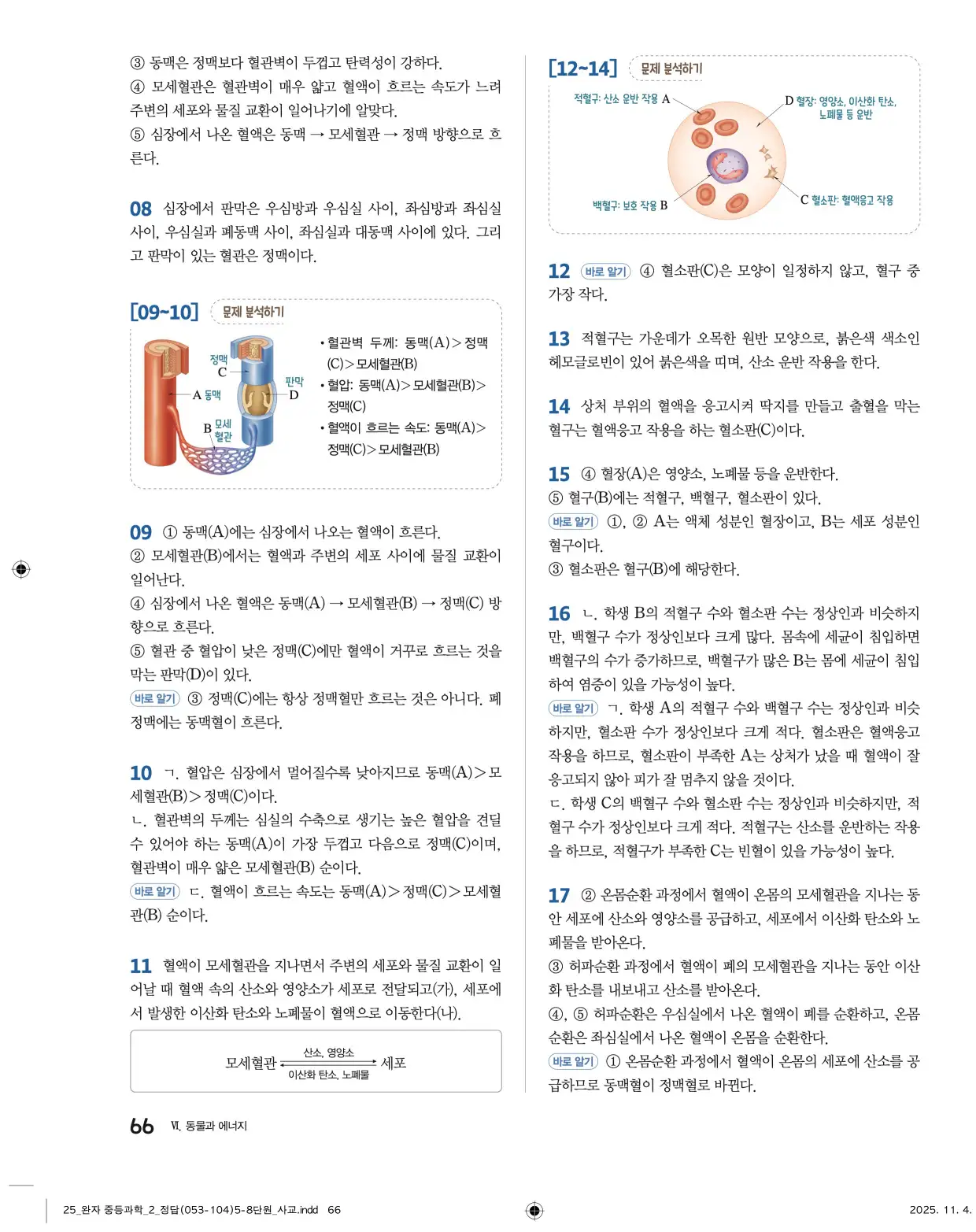 22개정완자중등과학2답지 66페이지