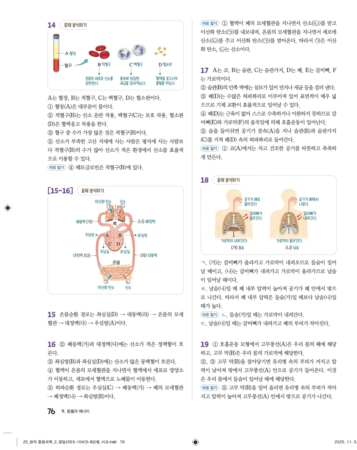22개정완자중등과학2답지 76페이지