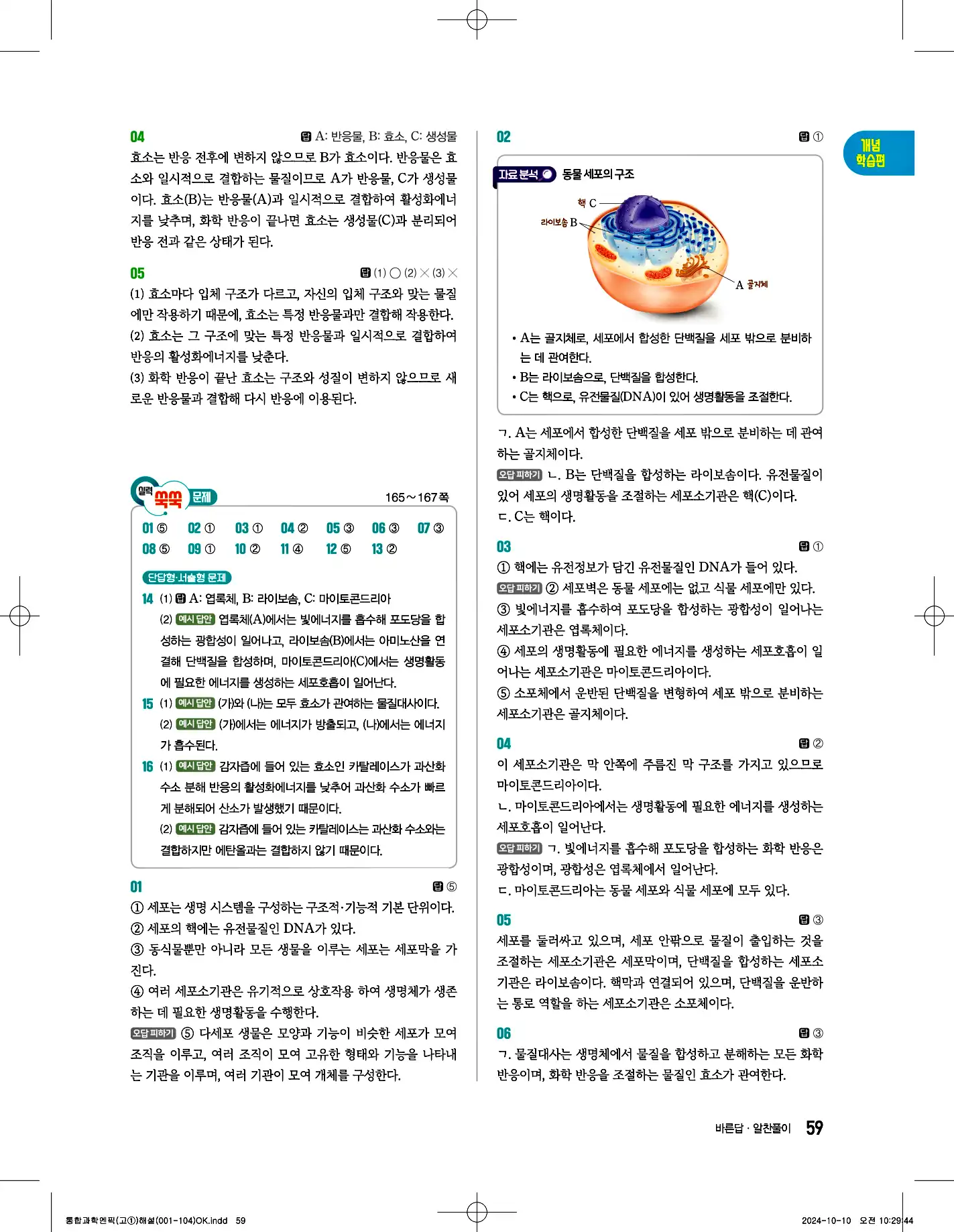 엔픽 통합과학1 답지 59페이지