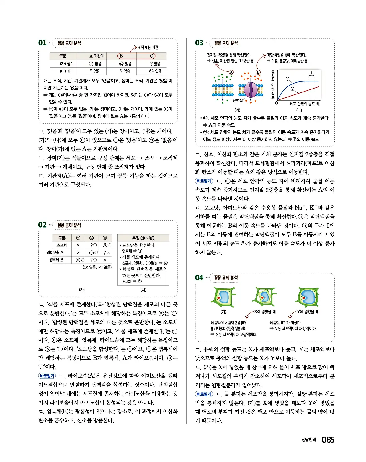 완자 통합과학1 답지 85페이지