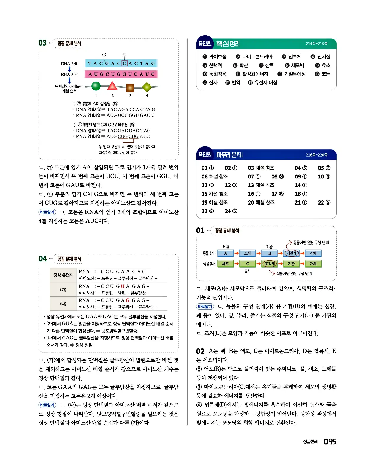 완자 통합과학1 답지 95페이지