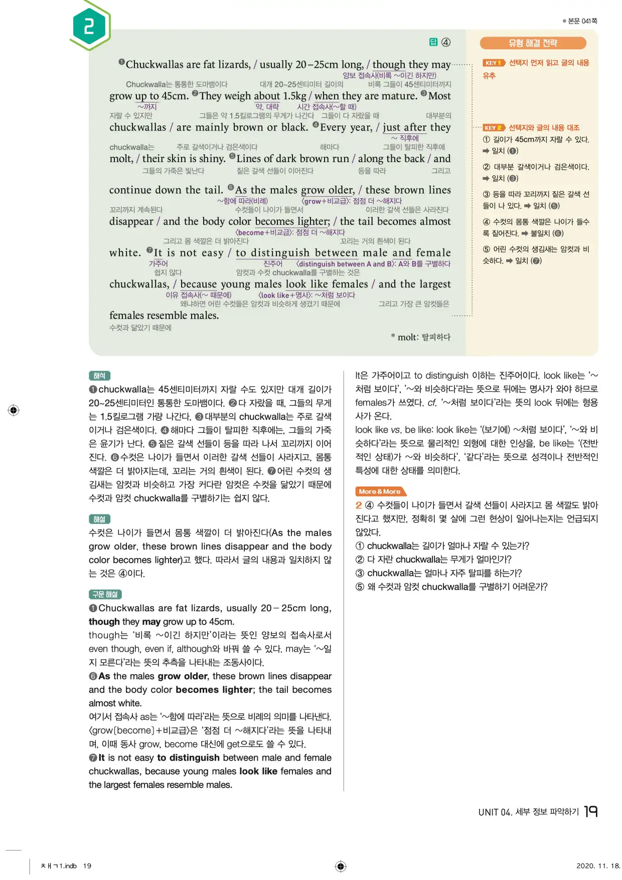 중학수능독해영어독해레벨2답지 19페이지