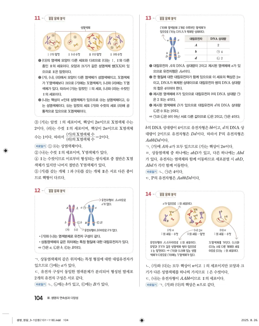 2022 개정 완자 고등 생명과학 답지 104페이지