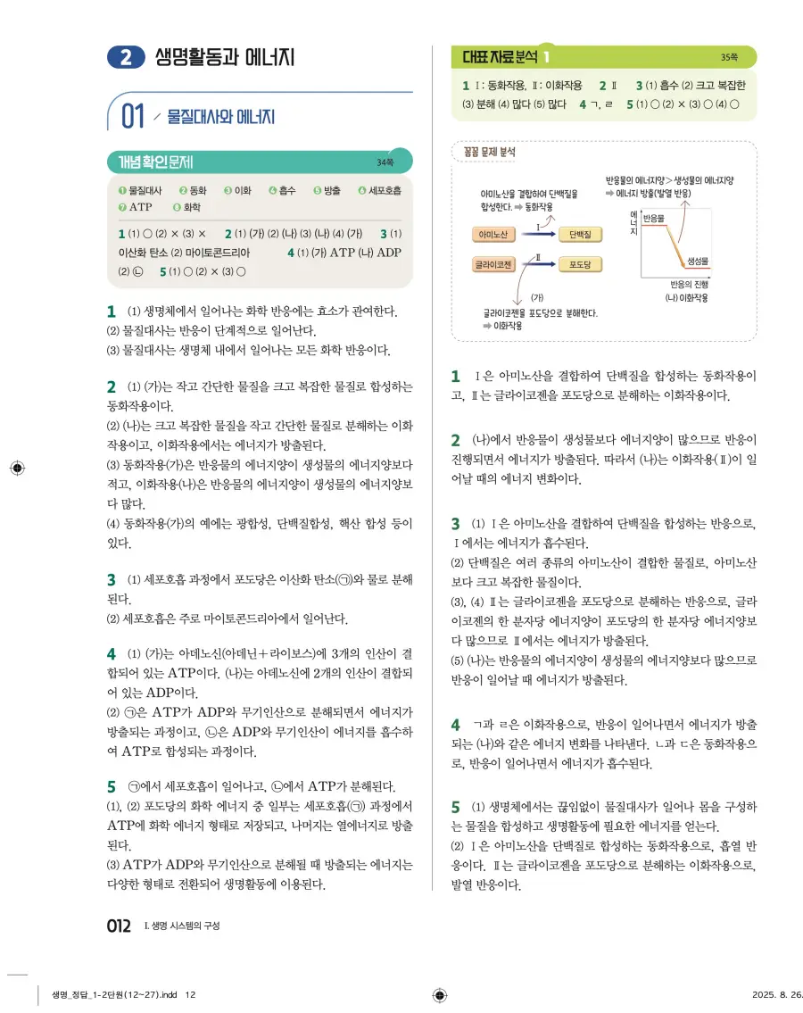 2022 개정 완자 고등 생명과학 답지 12페이지