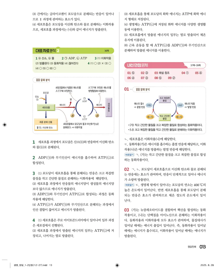 2022 개정 완자 고등 생명과학 답지 13페이지