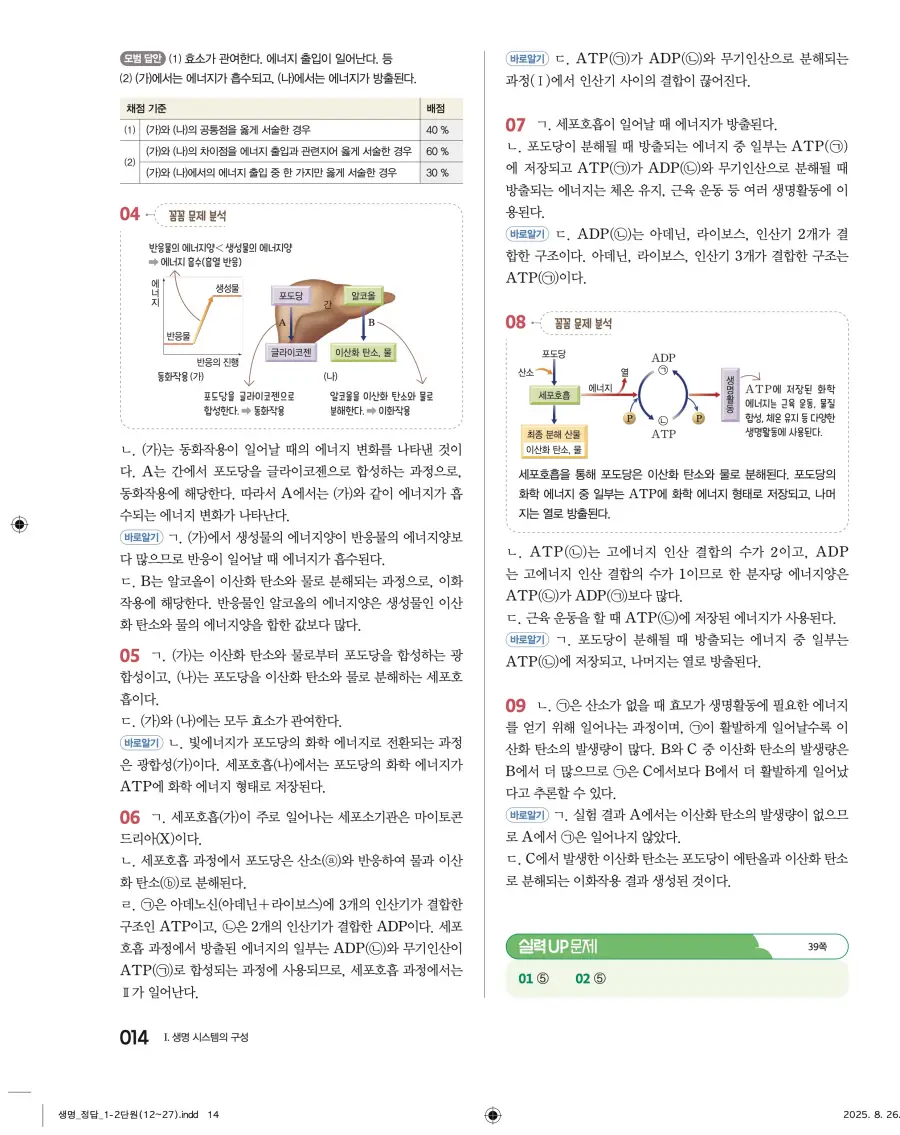 2022 개정 완자 고등 생명과학 답지 14페이지