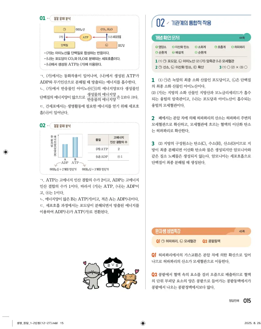 2022 개정 완자 고등 생명과학 답지 15페이지