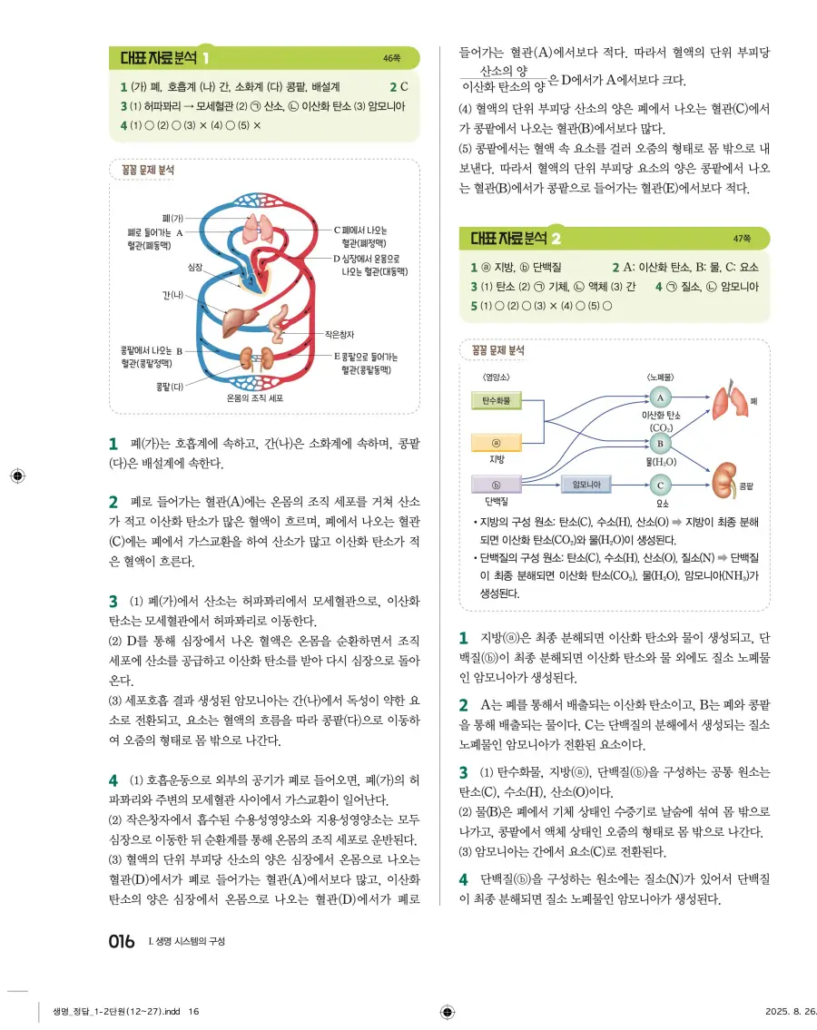 2022 개정 완자 고등 생명과학 답지 16페이지