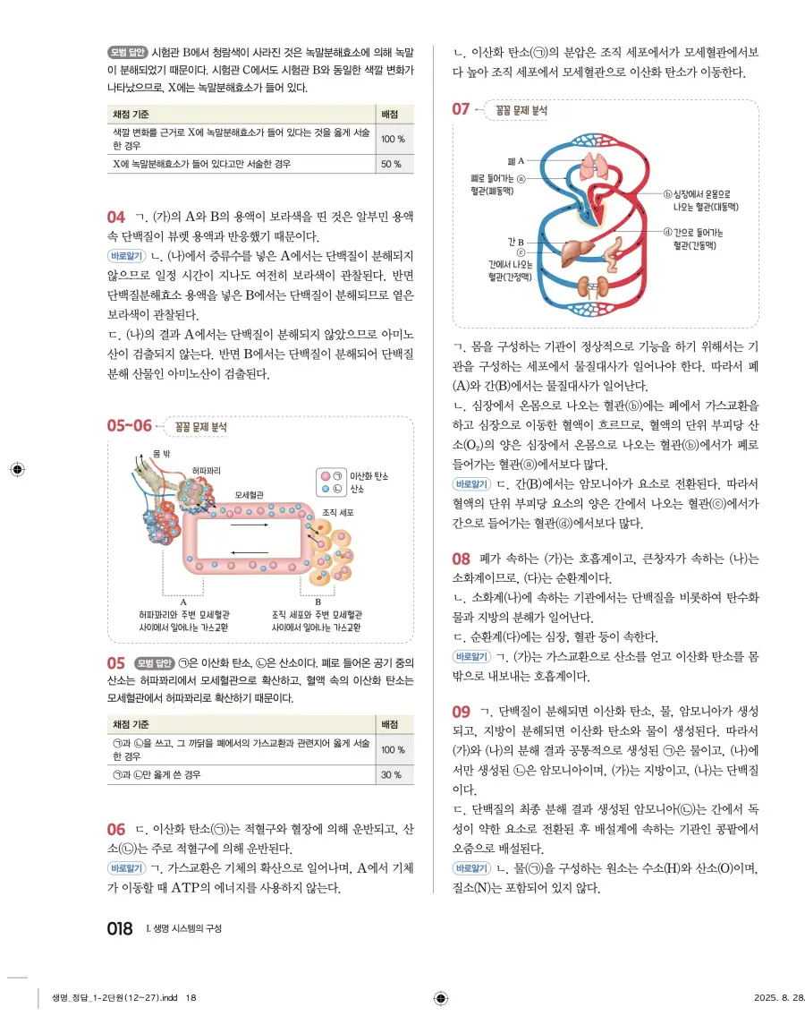 2022 개정 완자 고등 생명과학 답지 18페이지