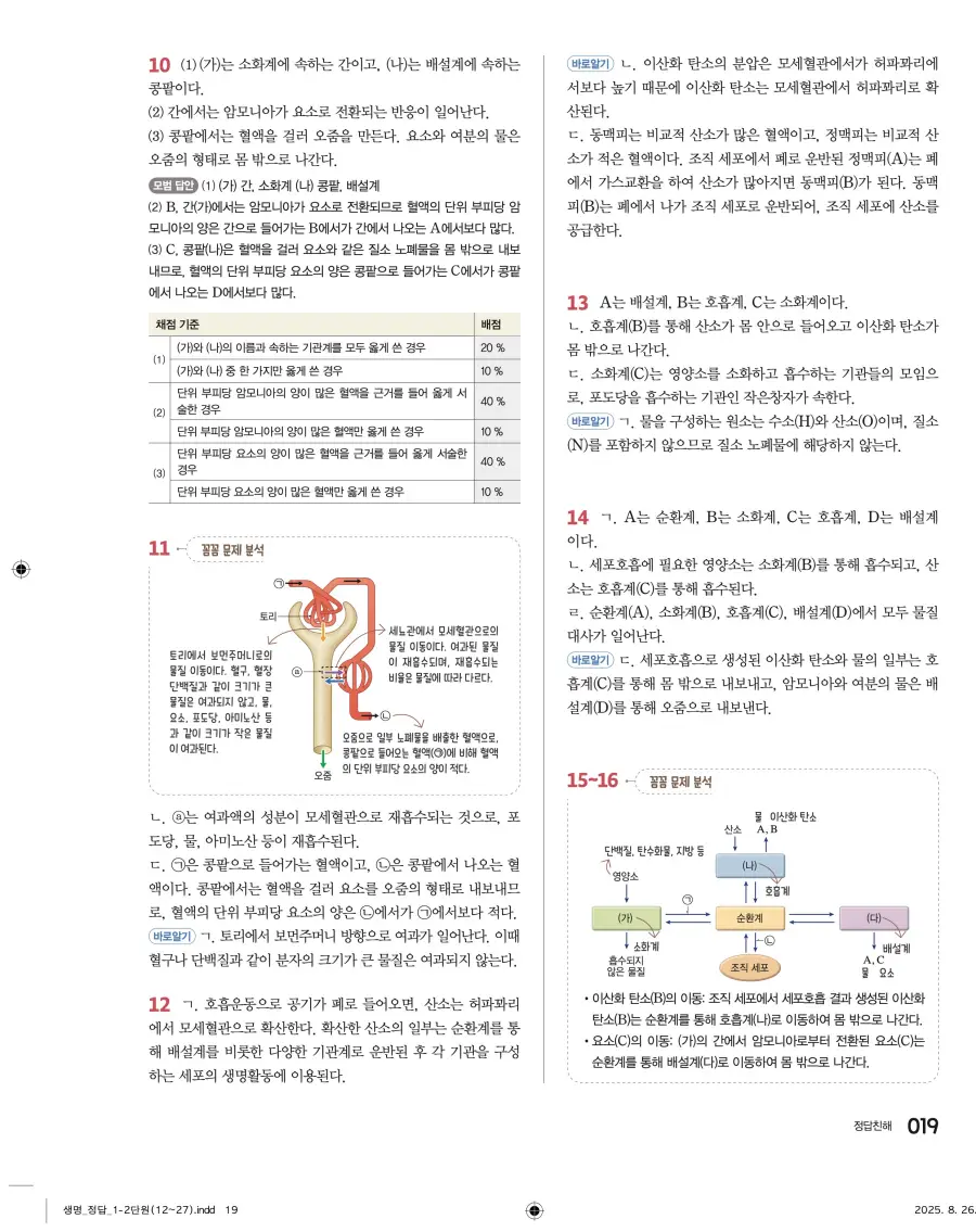 2022 개정 완자 고등 생명과학 답지 19페이지
