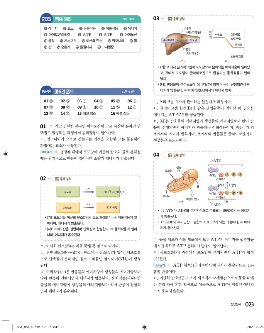 2022 개정 완자 고등 생명과학 답지 23페이지