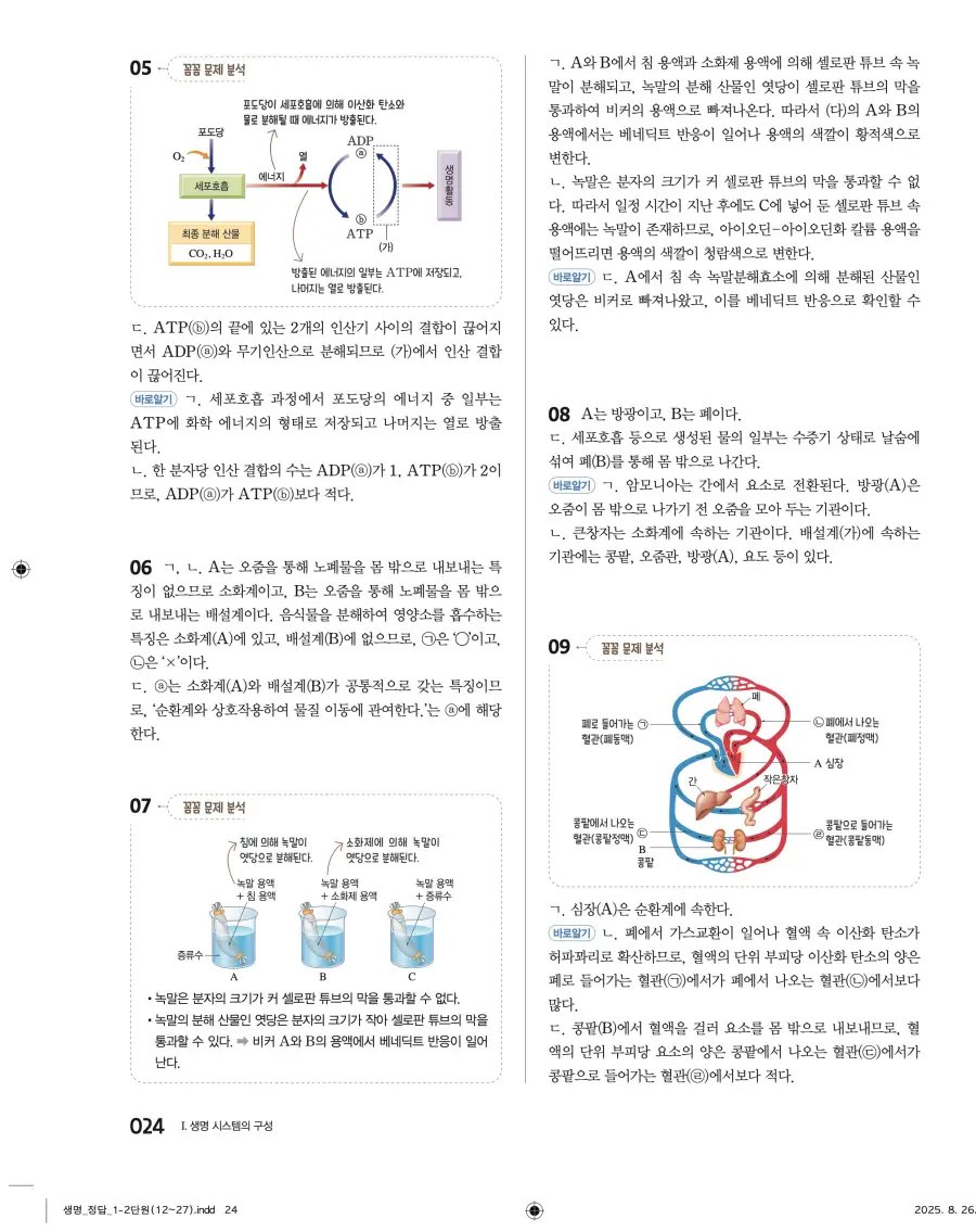 2022 개정 완자 고등 생명과학 답지 24페이지