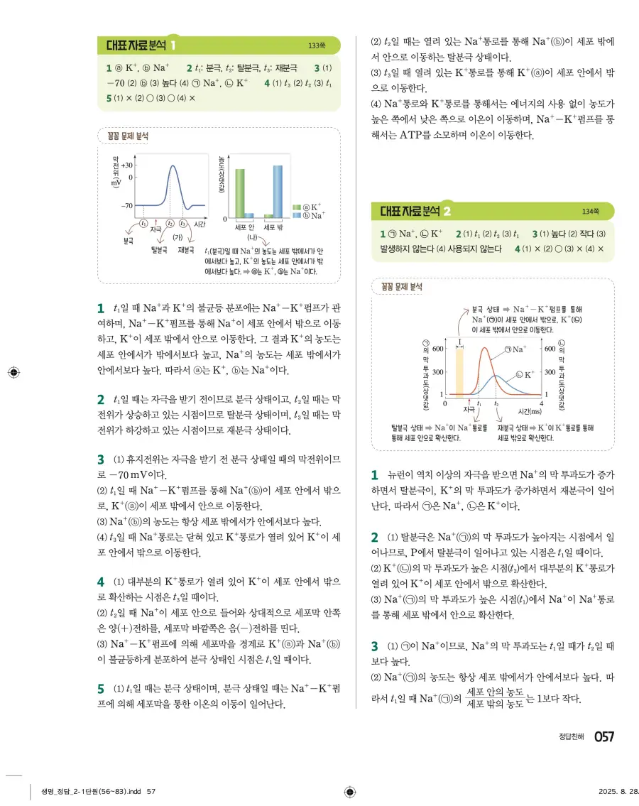2022 개정 완자 고등 생명과학 답지 57페이지
