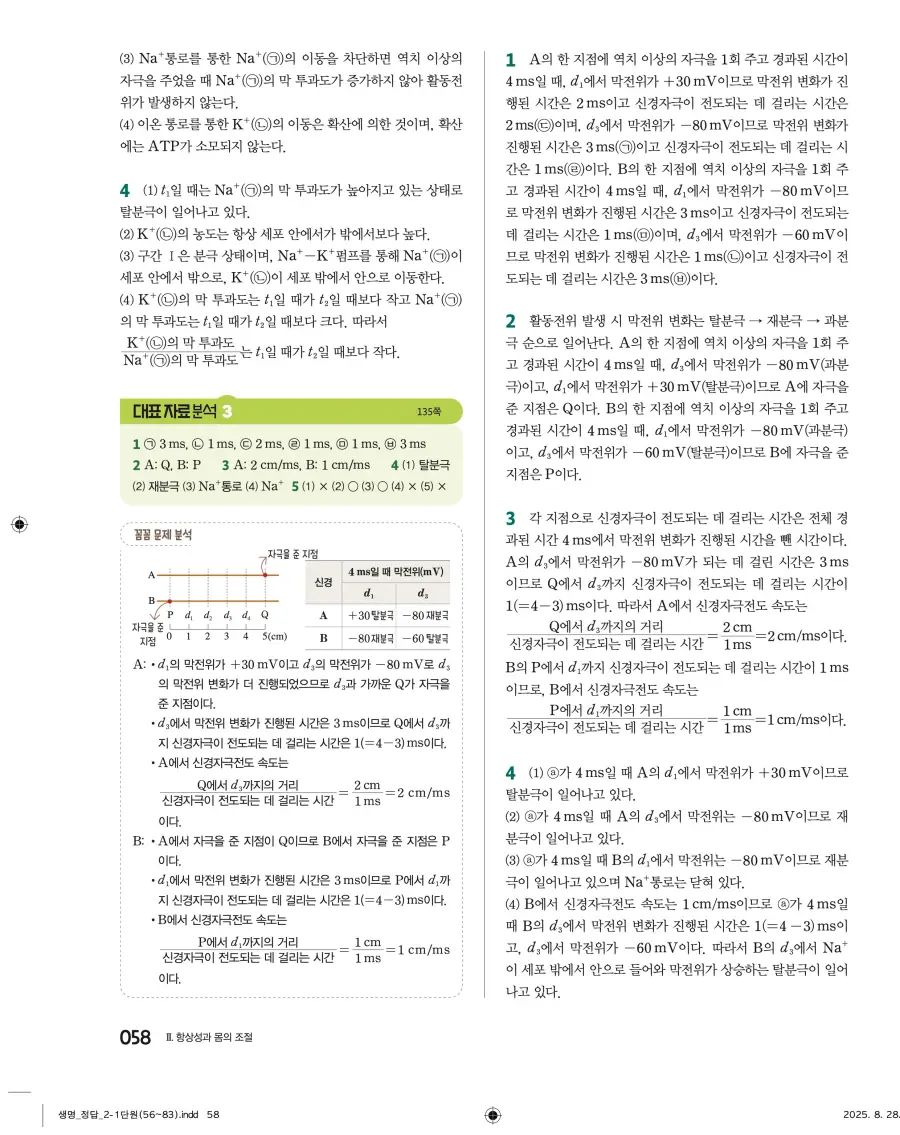 2022 개정 완자 고등 생명과학 답지 58페이지