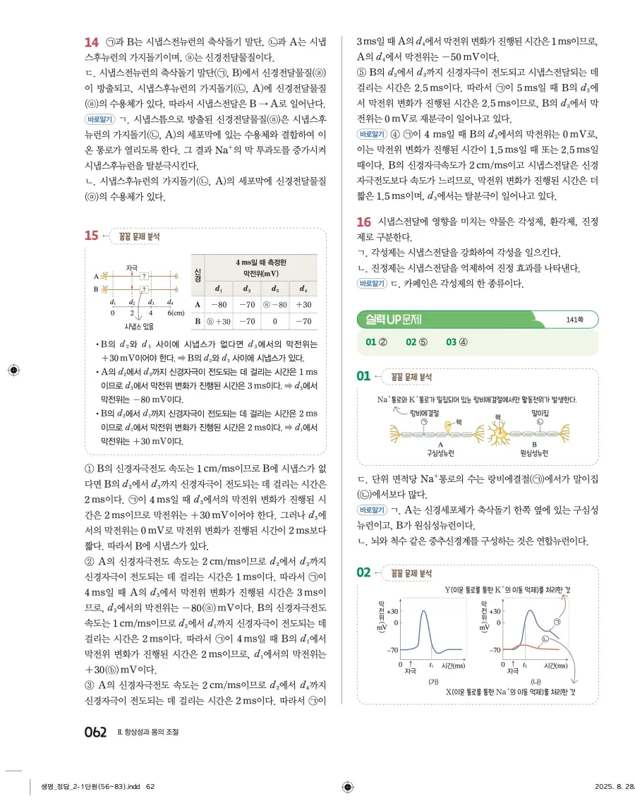2022 개정 완자 고등 생명과학 답지 62페이지