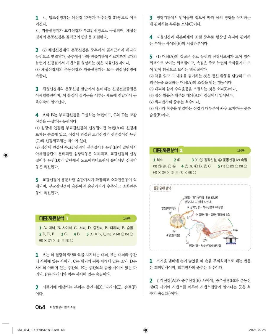2022 개정 완자 고등 생명과학 답지 64페이지