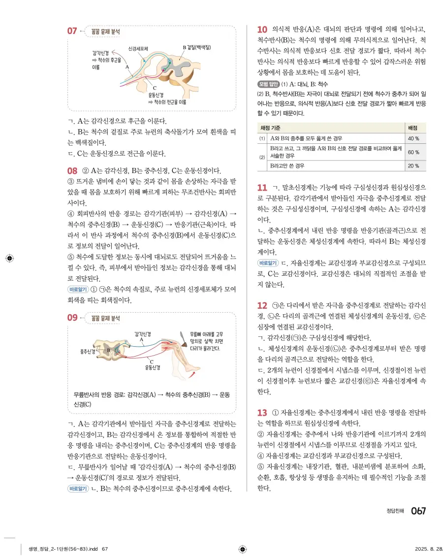 2022 개정 완자 고등 생명과학 답지 67페이지