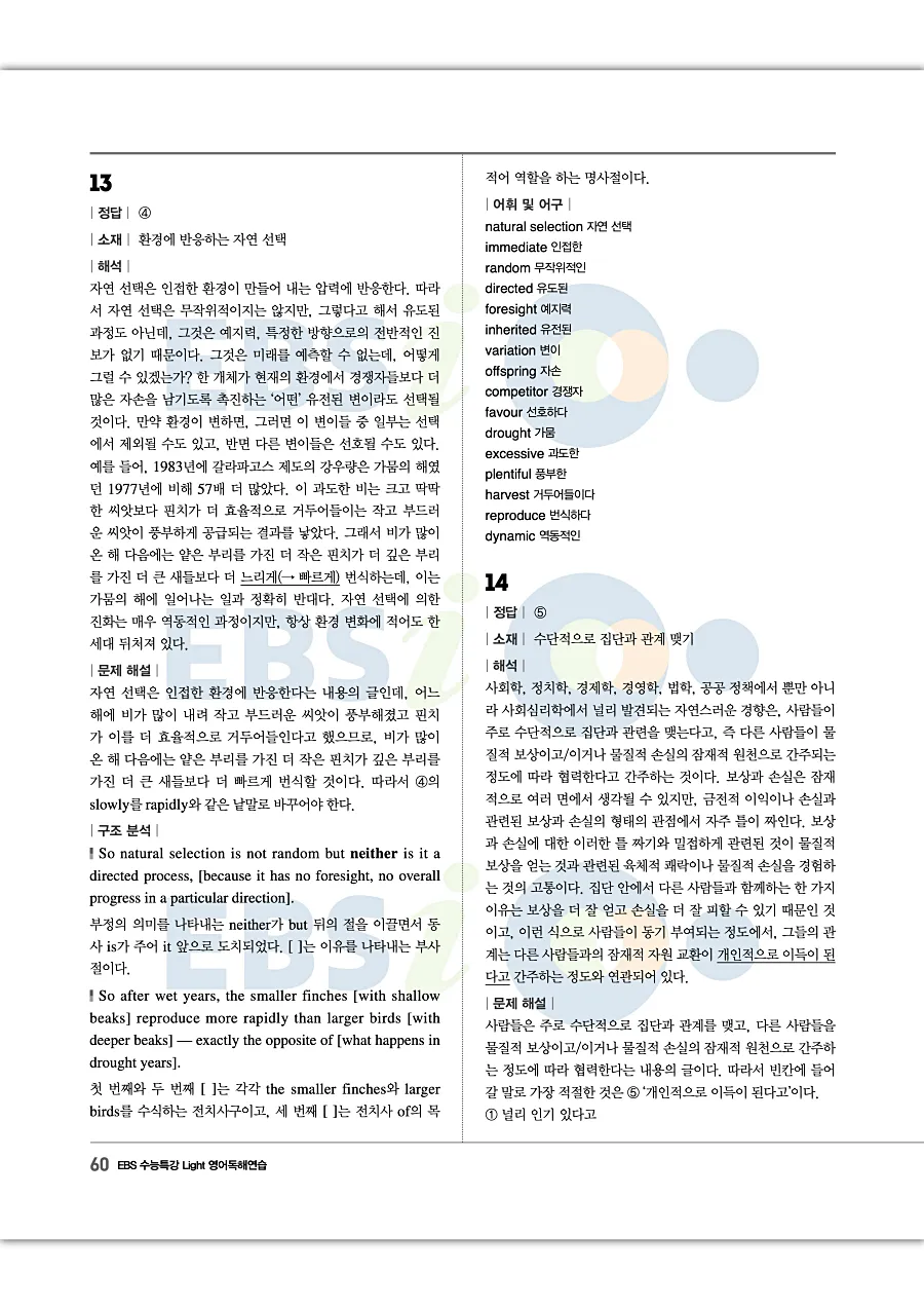 2027 수능특강 Light 영어독해연습 답지 60