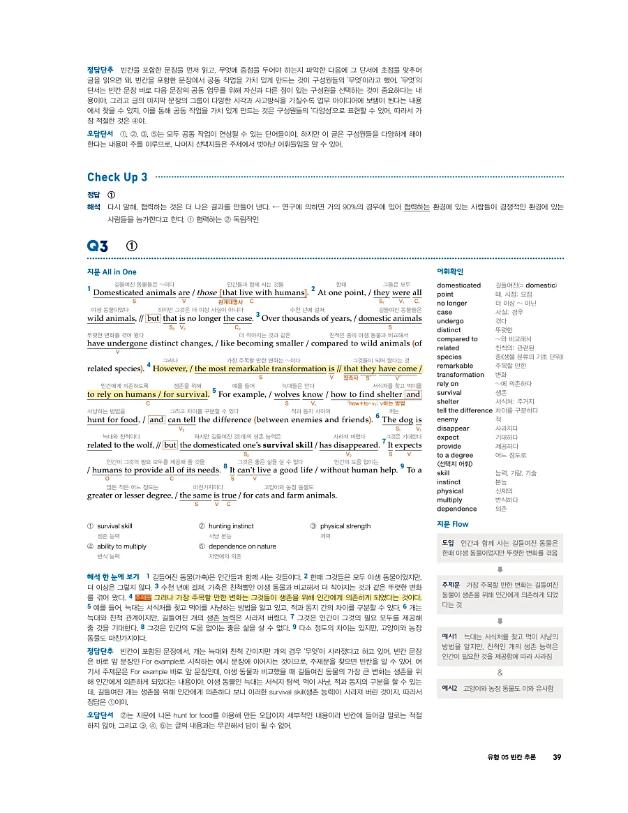 첫단추 독해 유형편 2025 답지 38페이지