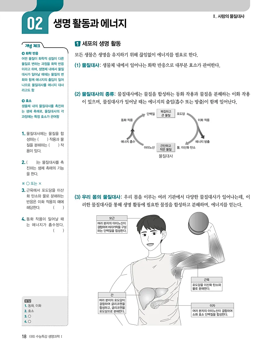 2027 수능특강 생명과학1 답지 18페이지