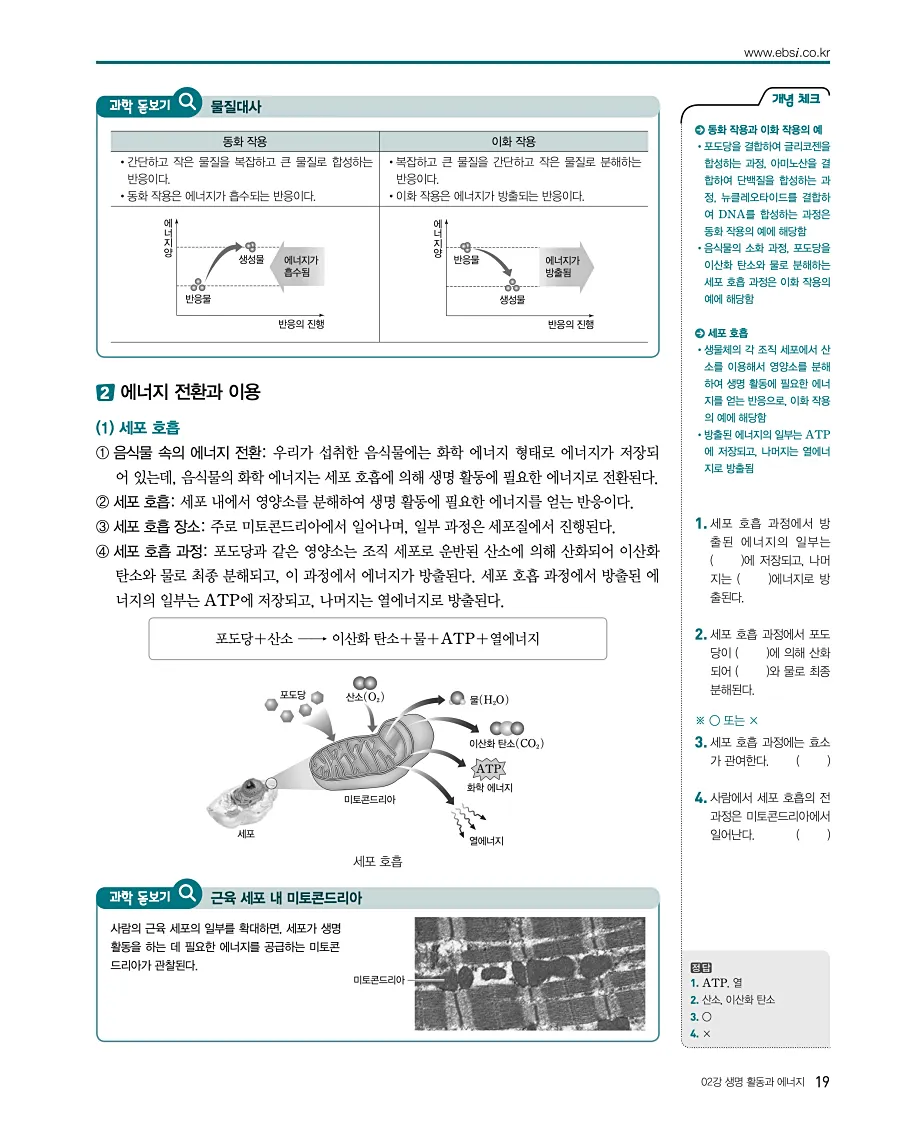 2027 수능특강 생명과학1 답지 19페이지