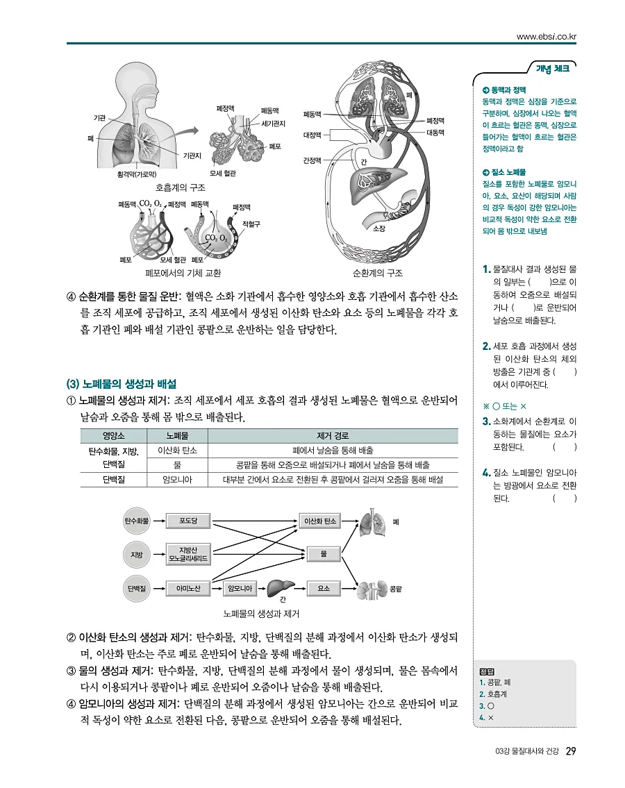 2027 수능특강 생명과학1 답지 29페이지