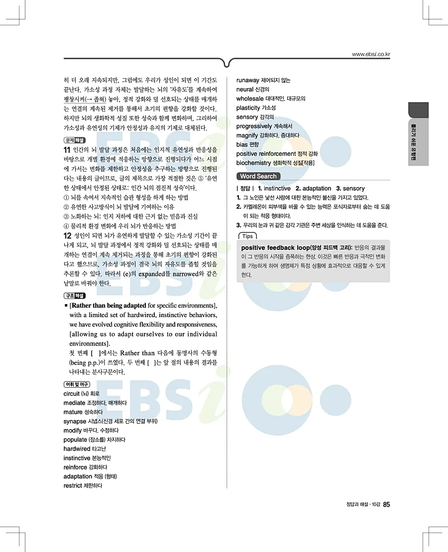 2027 수능특강 영어독해연습 답지 85페이지