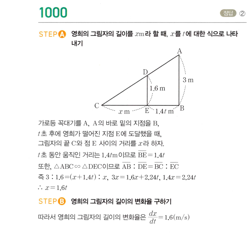1000번 해설이미지