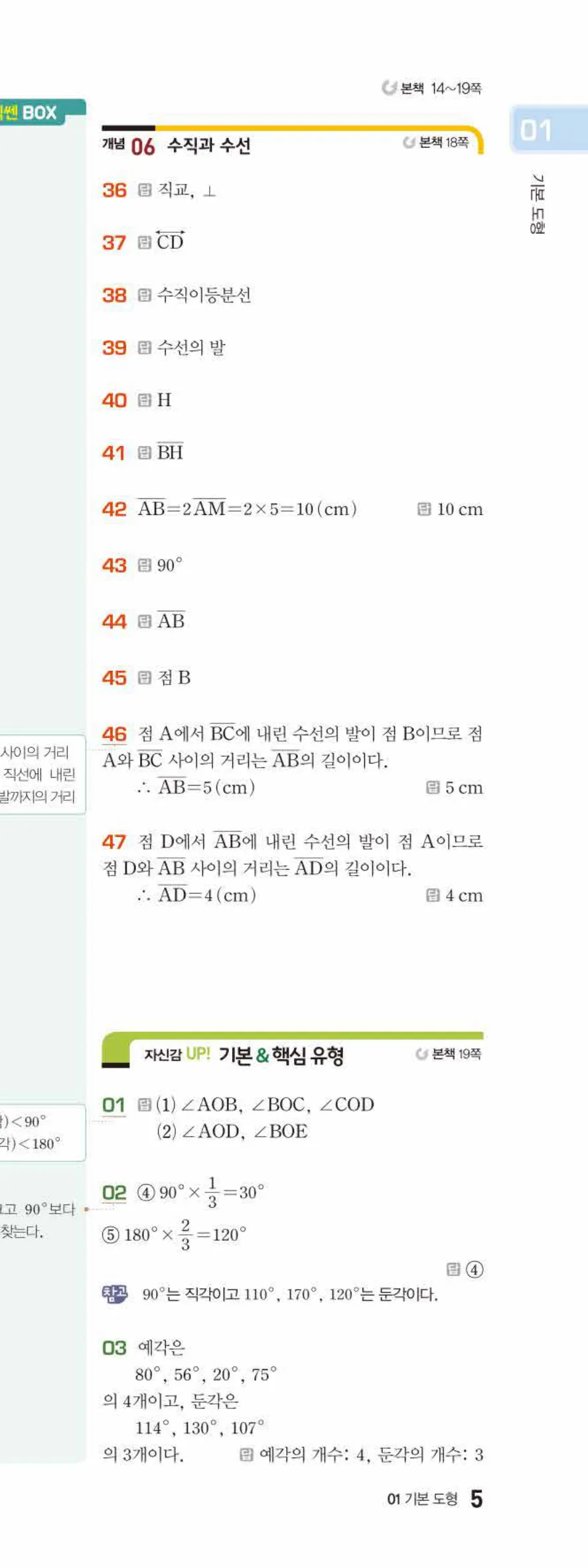 베이직쎈 중1-2 01 기본 도형 답지 해설 5쪽 아래
