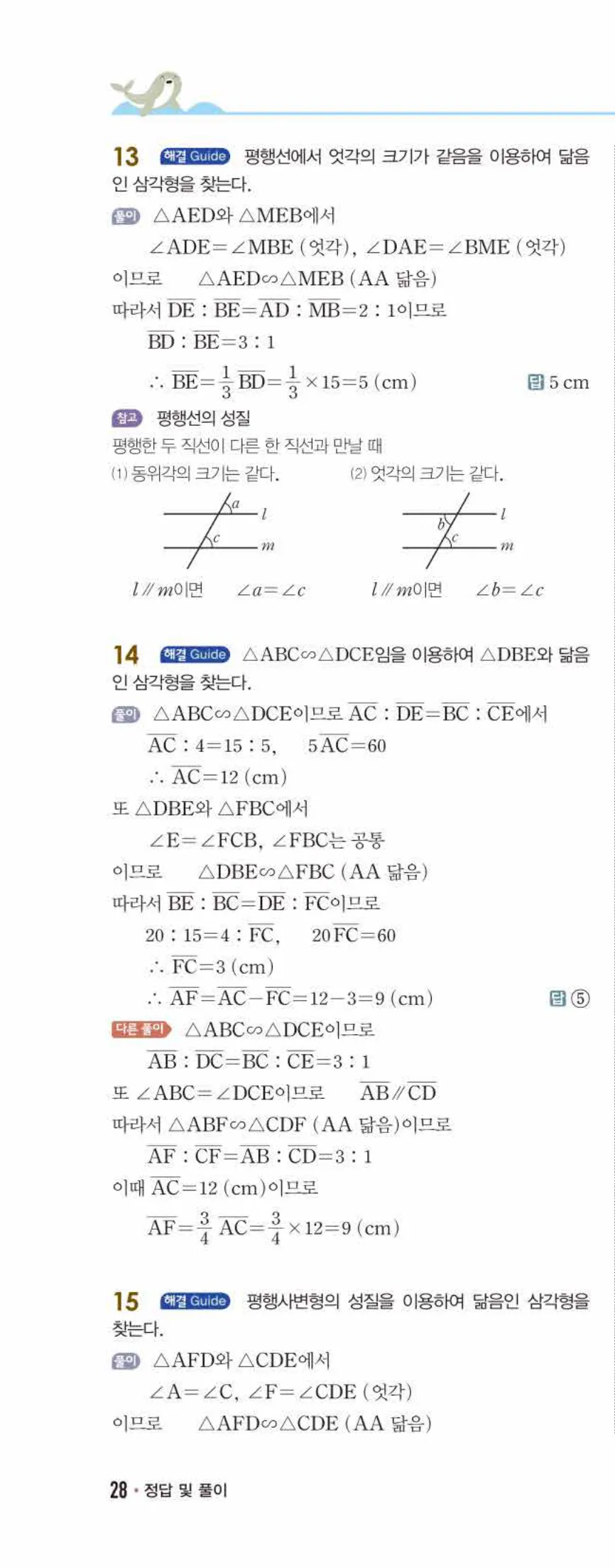 개념쎈 중2-2 개념북 03 도형의 닮음 답지 해설 (11)