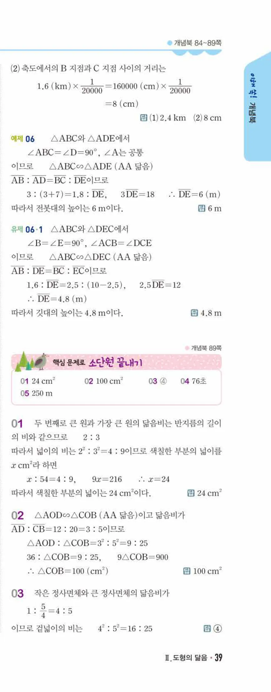 개념쎈 중2-2 개념북 05 닮음의 활용 답지 해설 (8)