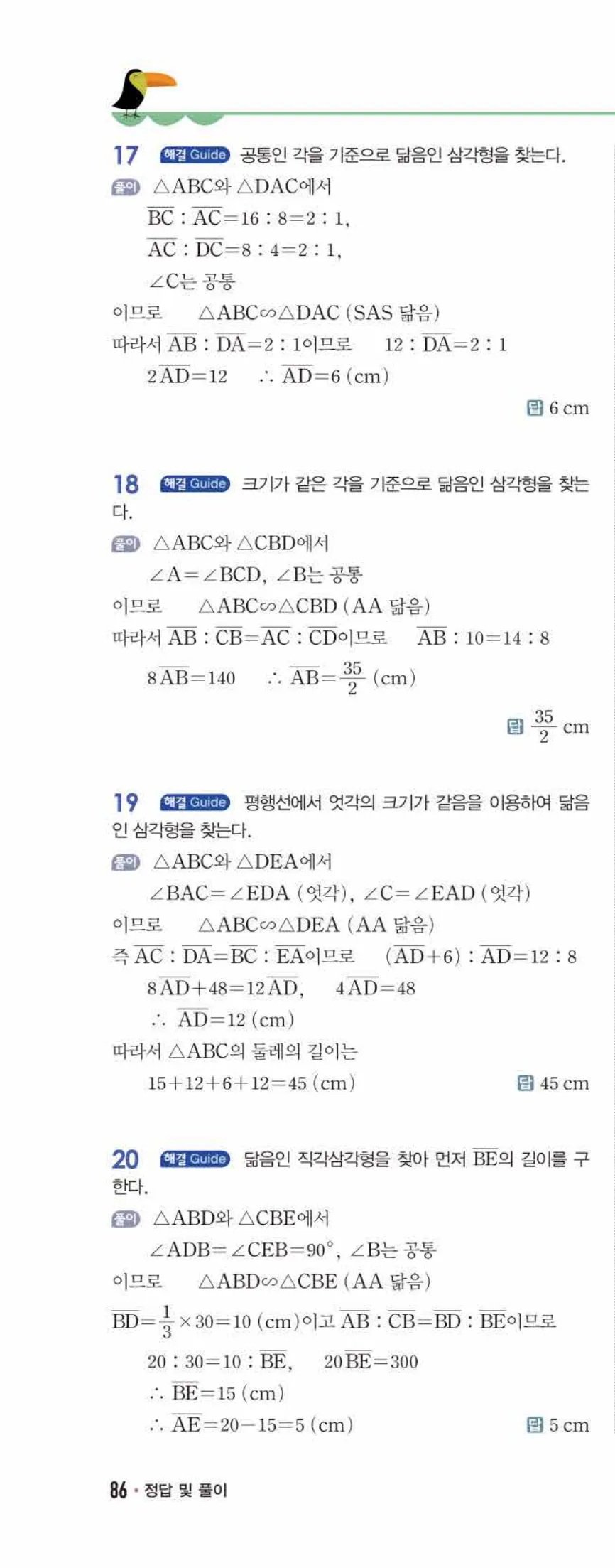 개념쎈 중2-2 유형북 03 도형의 닮음 답지 해설 (11)
