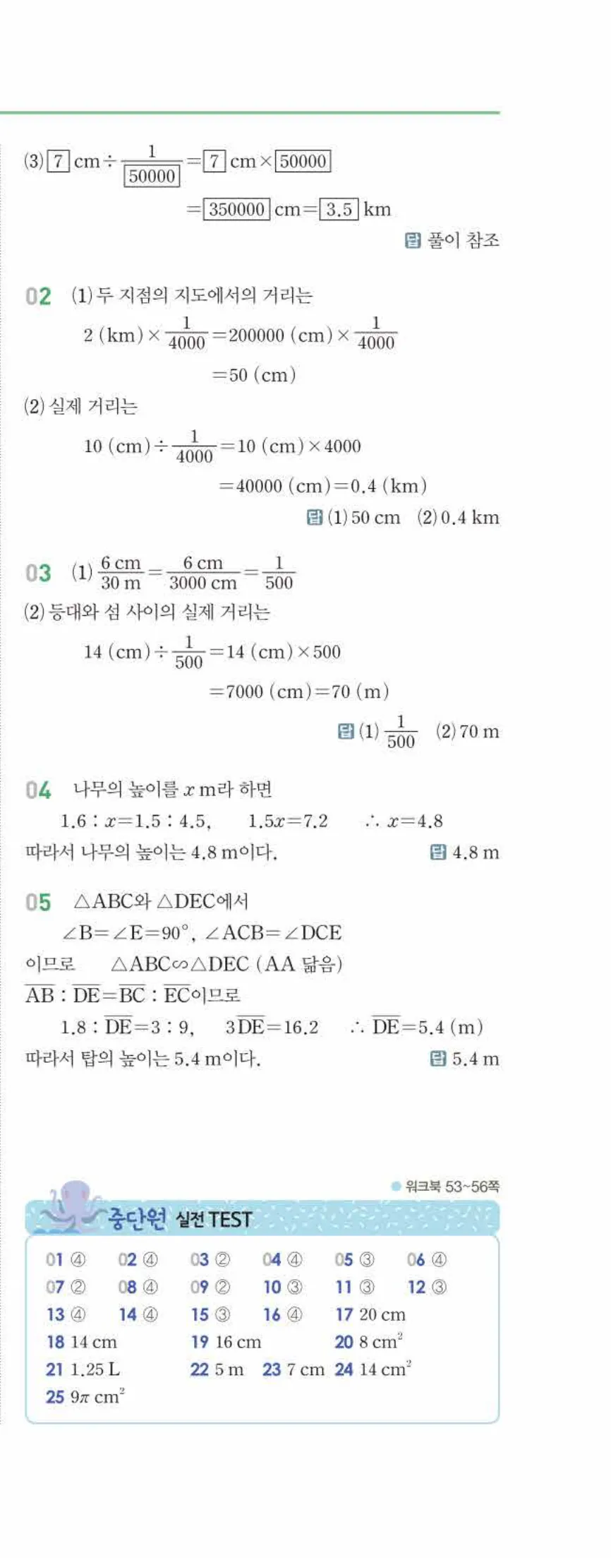 개념쎈 중2-2 유형북 05 닮음의 활용 답지 해설 (8)
